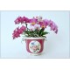 RICHARD GINORI - Porcelain Cachepot / Jardinière - Mid-Century - Italy '50