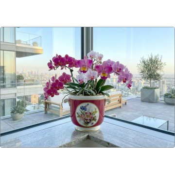 RICHARD GINORI - Porcelain Cachepot / Jardinière - Mid-Century - Italy '50