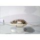 Desk Phone Prod. SIEMENS Mod. GRILLO, SPECIAL ED. 1967 - White