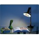 Table Lamp LUMI, Mod. 553 - Design O. Torlasco, Made in Italy 1957