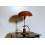 Lampada da Tavolo ARREDOLUCE, Made in Italy 1950, Design Angelo Lelli