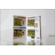 Portable Console NINTENDO Game Boy - Mod. POCKET - Pink Color