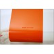 Sportellino Batterie per Radio BRIONVEGA Ts 502 - Arancione