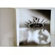 FONTANA ARTE Catalog - MAX INGRAND - 1968