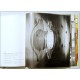 Catalogo FONTANA ARTE - MAX INGRAND - 1968