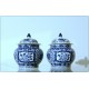 Pair of porcelain Potiche - China Kangxi ( 1661-1722 ) Qing Dynasty 20th century