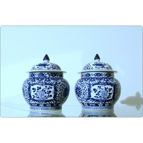 Pair of porcelain Potiche - China Kangxi ( 1661-1722 ) Qing Dynasty 20th century