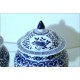 Coppia di Potiche in porcellana - China Kangxi ( 1661-1722 ) Dinastia Qing 20th century