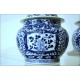 Coppia di Potiche in porcellana - China Kangxi ( 1661-1722 ) Dinastia Qing 20th century