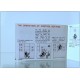 NINTENDO Game & Watch - LCD Multi Screen - GREEN HOUSE - Japan 1982