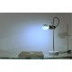 Table Lamp O-Luce - Mod. 251- Design T. Agnoli 1955