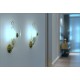 L. FONTANA Pair of wall lamps - Brass / Glass - Mid-Century '50